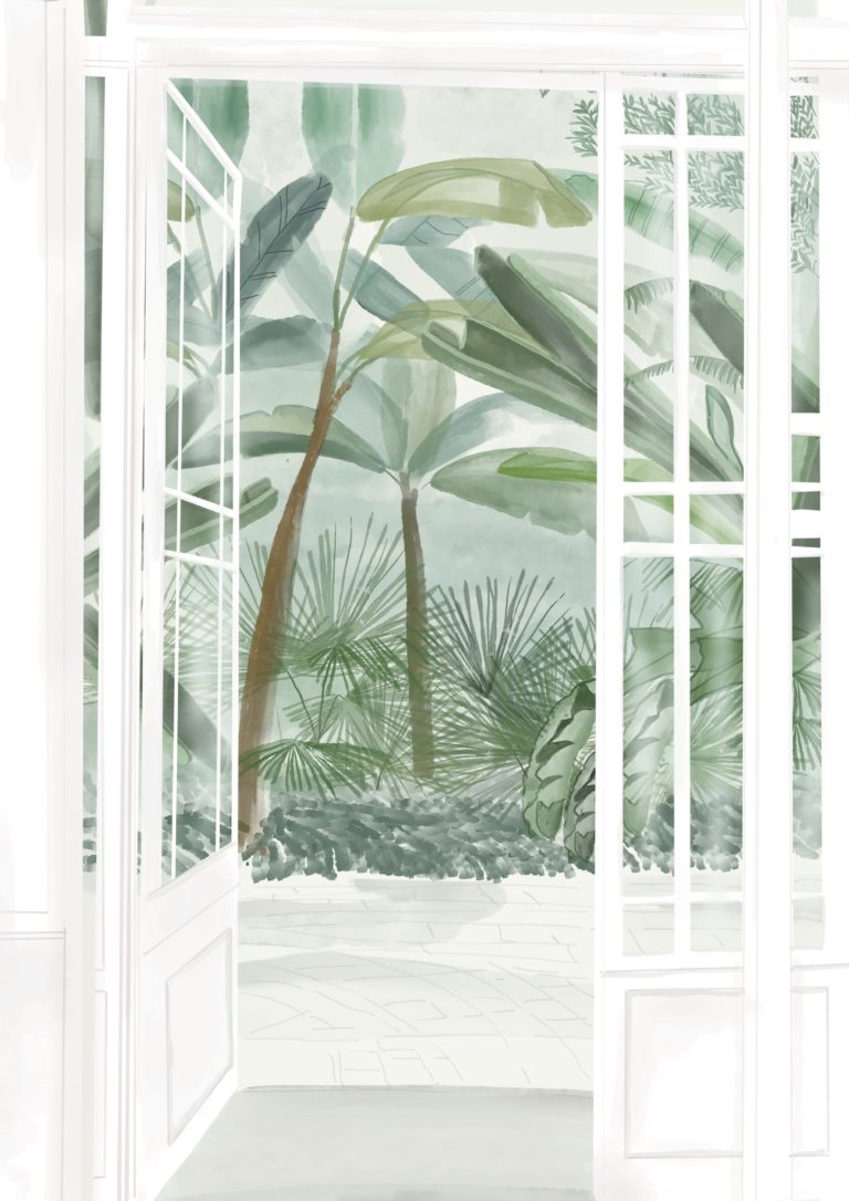 Illustration jardin tropical ManonPIllustrations