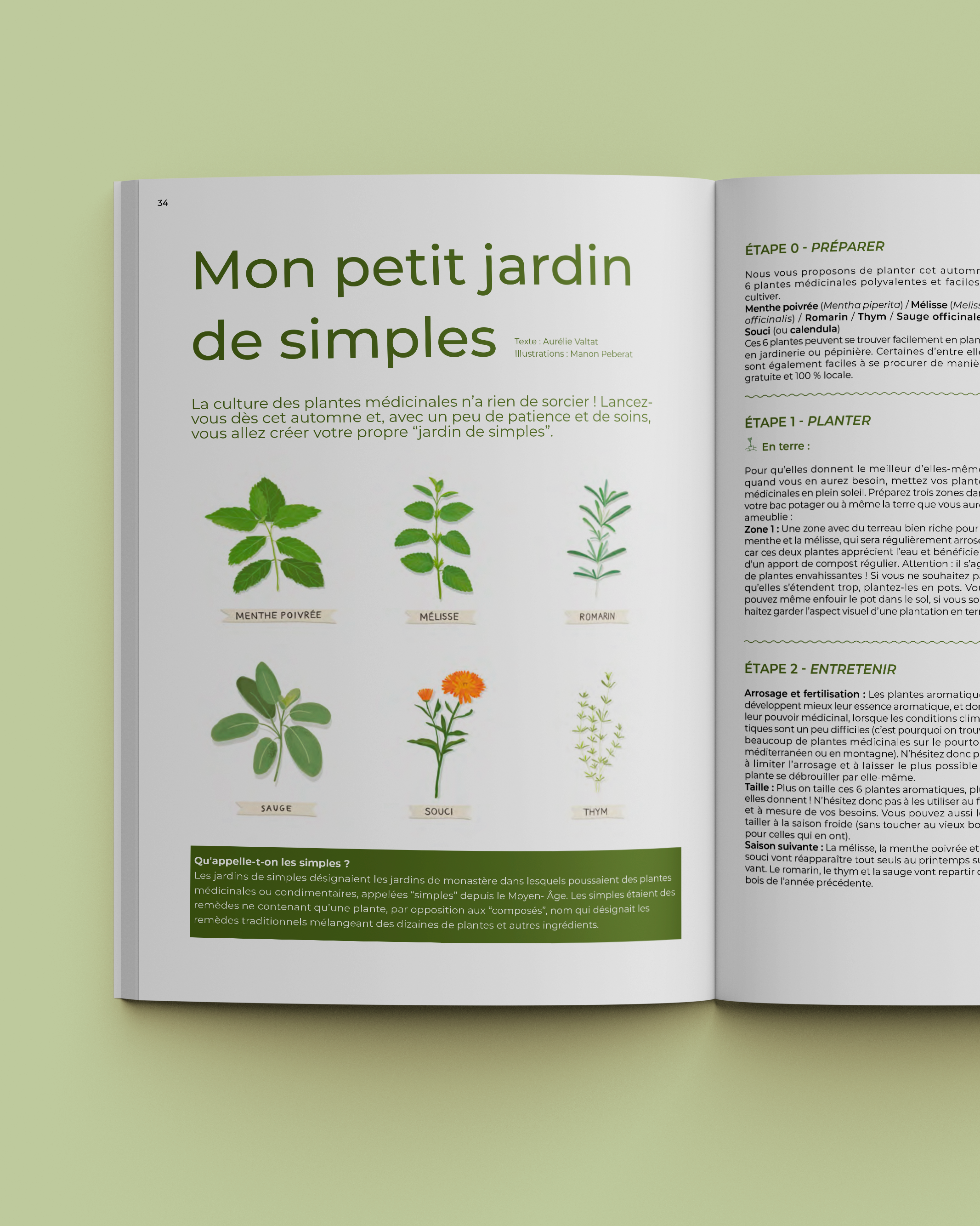 Illustrations botaniques pour Veìr Magazine