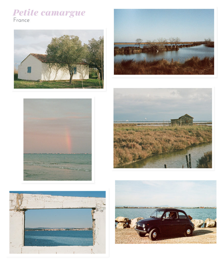 photographie à l'argentique petite camargue hérault gard